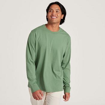 Allbirds Allgood Baumwoll Long Sleeve T shirts Herren Grün | CHEAH32422