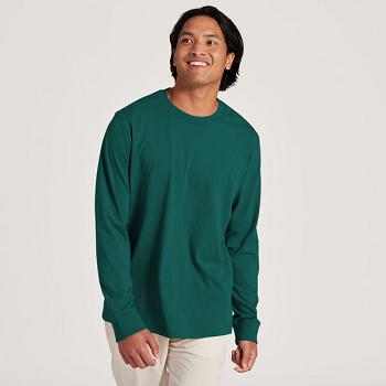 Allbirds Allgood Baumwoll Long Sleeve T shirts Herren Türkis | DCHKV31569