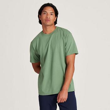 Allbirds Allgood Baumwoll T shirts Herren Grün | CHEAH93243