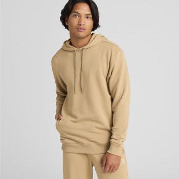 Allbirds R&R Hoodie Sweatshirts Herren Beige | PCHQX91110