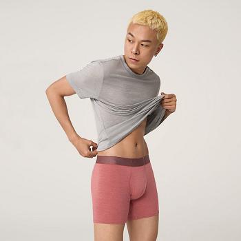 Allbirds Trino® Boxer Brief Unterwäsche Herren Rosa | YCHVQ71242
