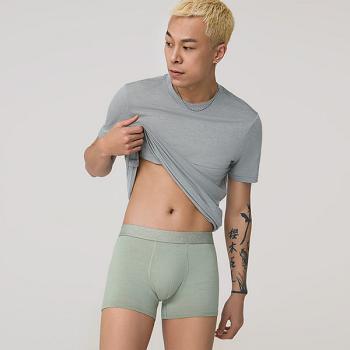 Allbirds Trino® Trunk Unterwäsche Herren Tiefesgrün | CHNEJ87141